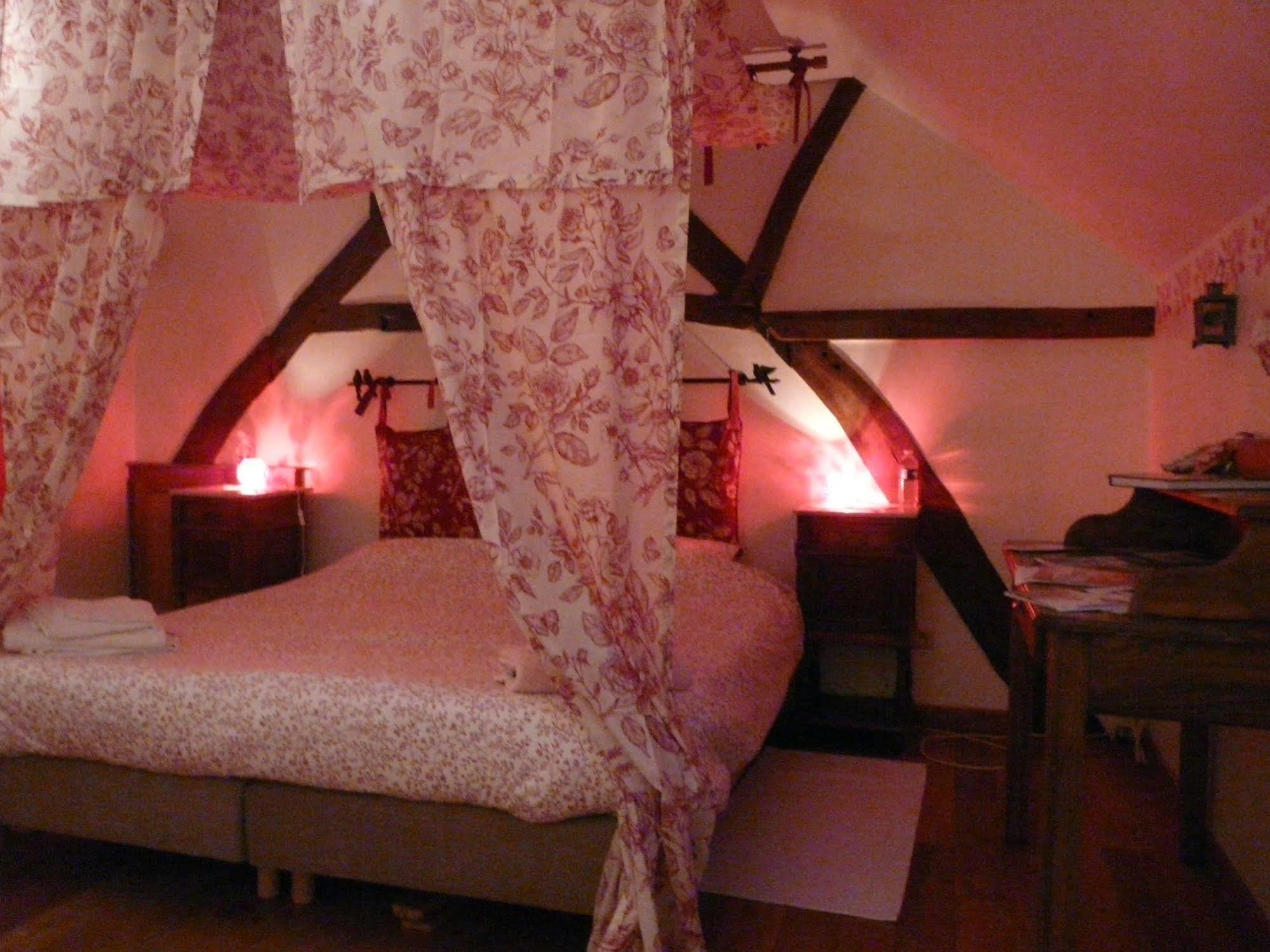 B&B Aux Gaietes De La Sabotiere Seloignes エクステリア 写真